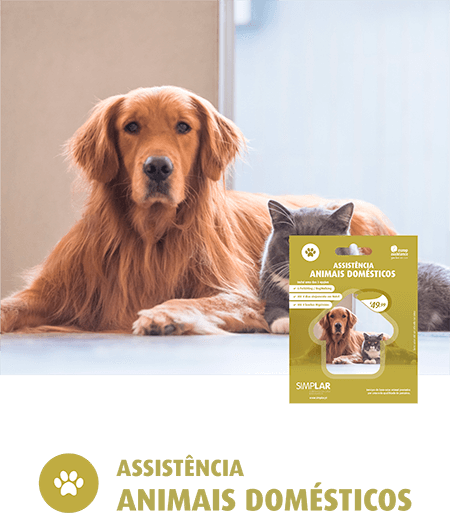 ASSISTENCIA ANIMAIS DOMÉSTICOS - PRODUTO